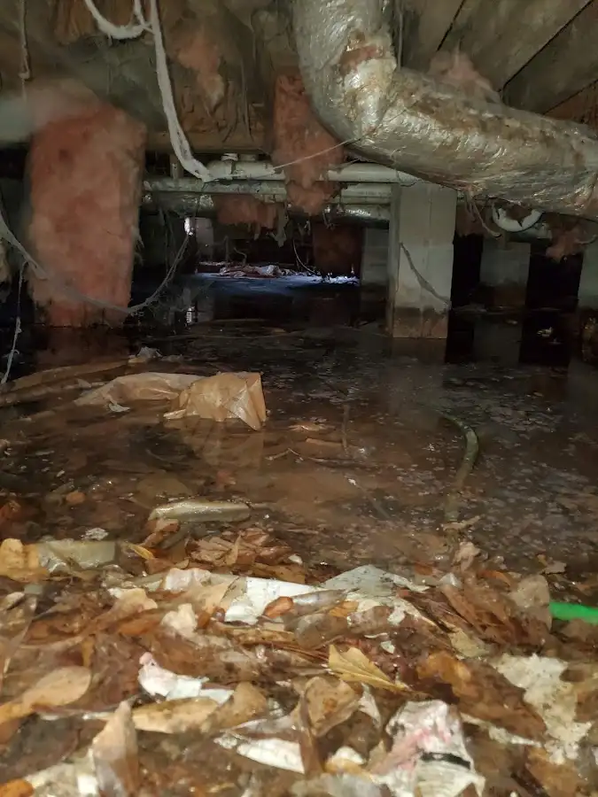 Crawl space flood assessment for Leak Detection & Repair in Lincoln