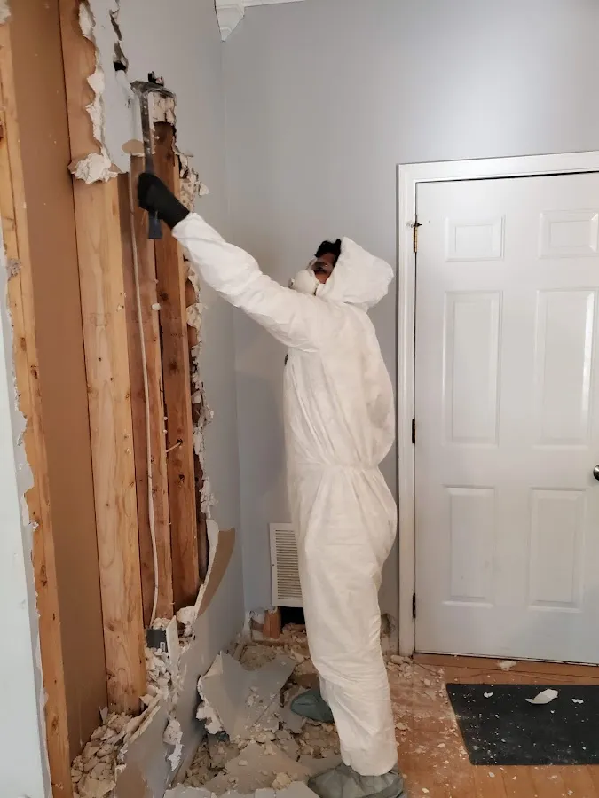 Mold Remediation & Removal in Lincoln, RI
